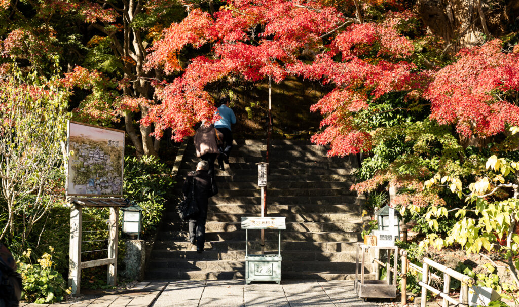Lower grounds and approach path at Hasedera Temple in Kamakura, lined with trees and stone features as visitors walk toward the main complex.