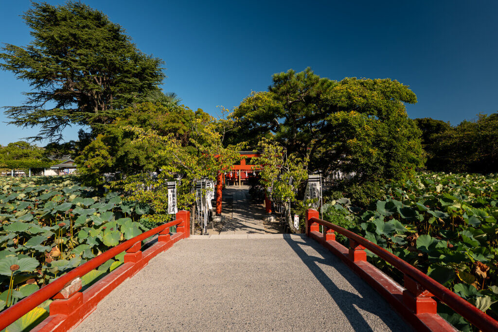 Torii-lined path to Hataage Benzaiten between the ponds at Tsurugaoka Hachimangū.