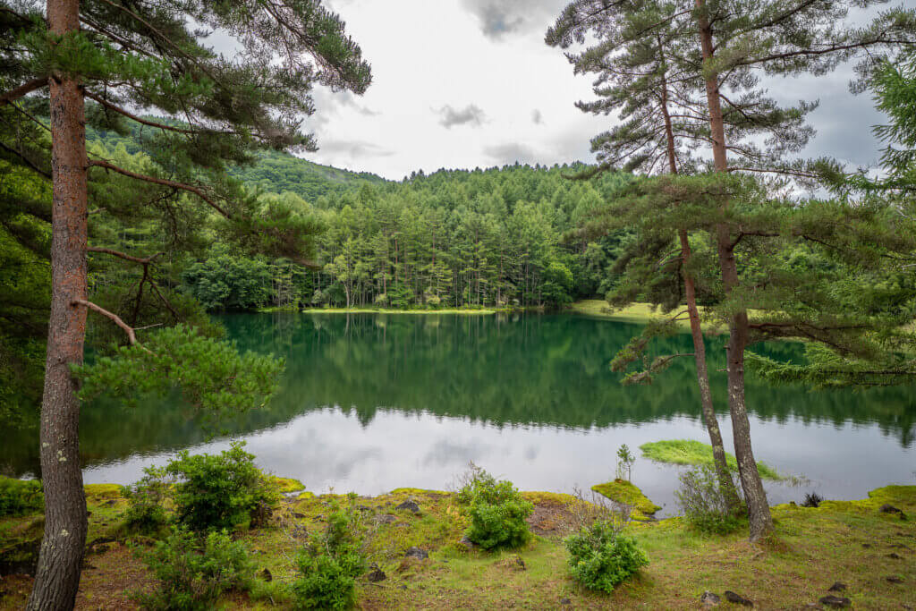 Mishaka-ike Pond in Chino, Nagano — calm green reflections and forest scenery.