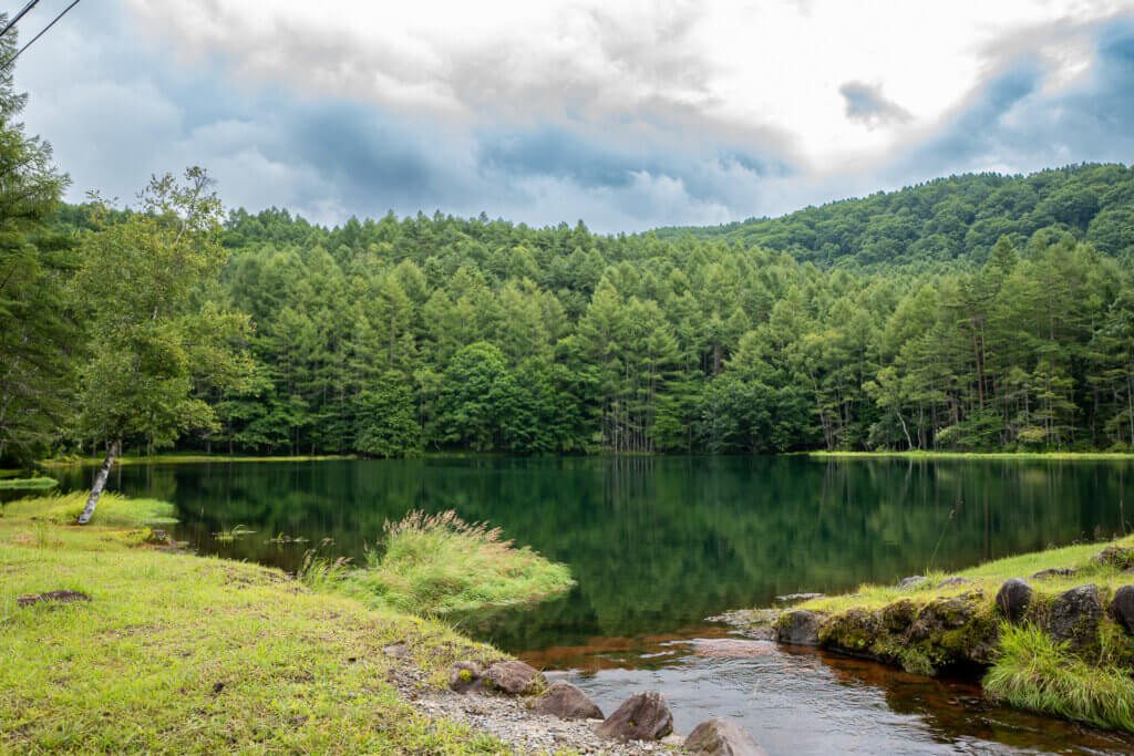 Green shoreline leading into Mishaka-ike Pond, a reflective forest lake in Chino, Nagano.