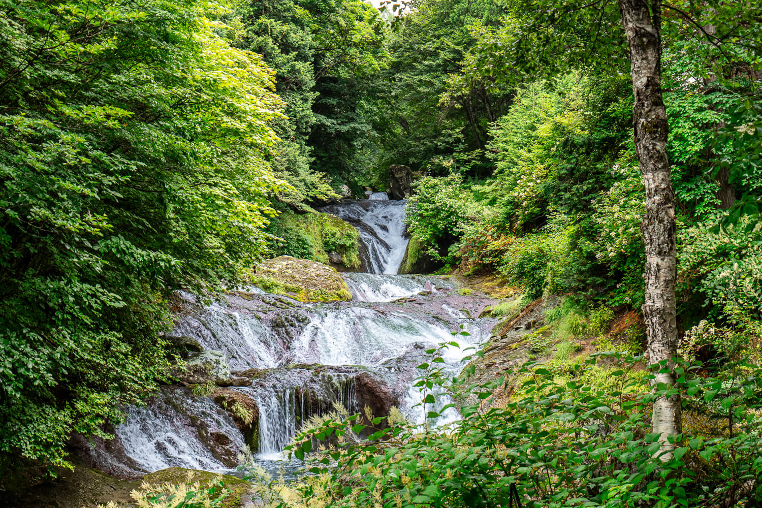 Oshidori Kakushi Falls flowing through lush green forest in Chino, Nagano, Japan.