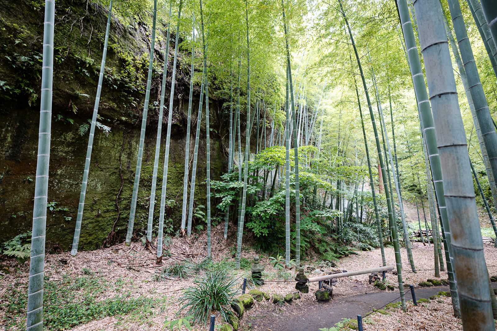 Bamboo grove and outer wall at Eisho-ji Temple