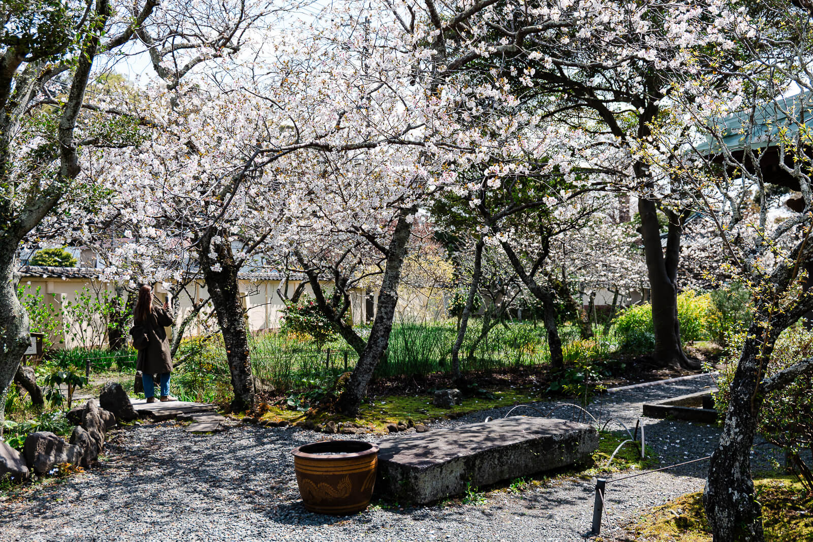 Seasonal greenery and garden at Eisho-ji Temple