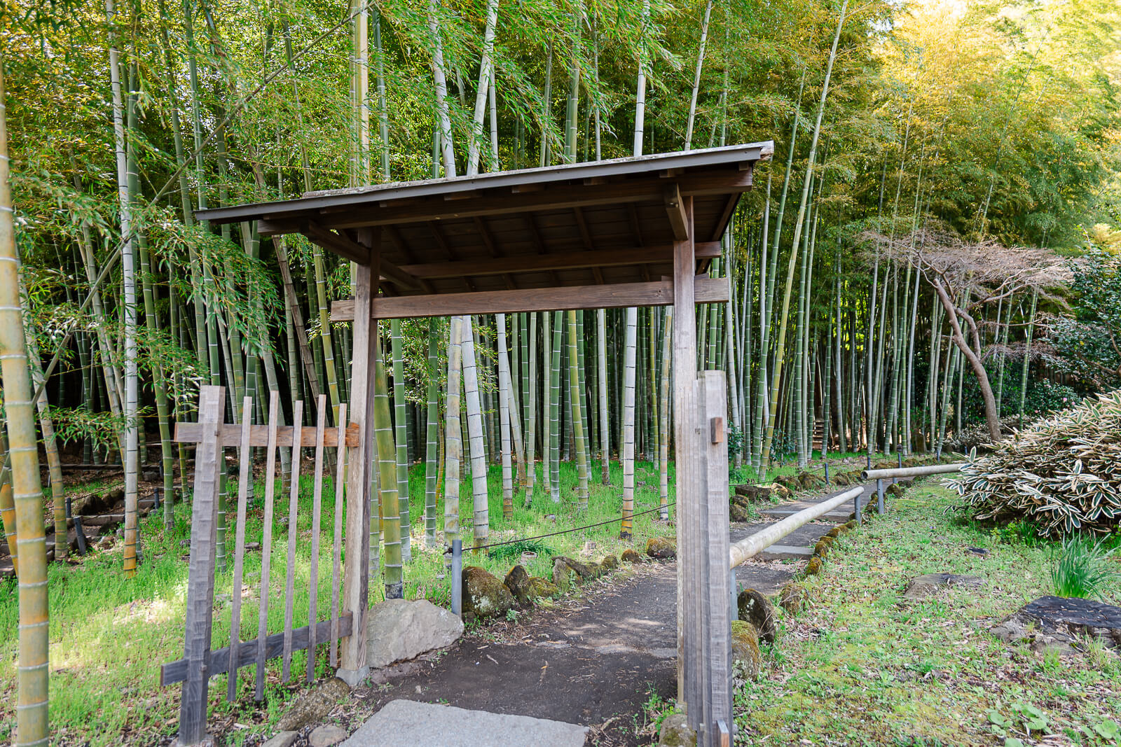 Bamboo grove entrance side path at Eisho-ji Temple in Kamakura