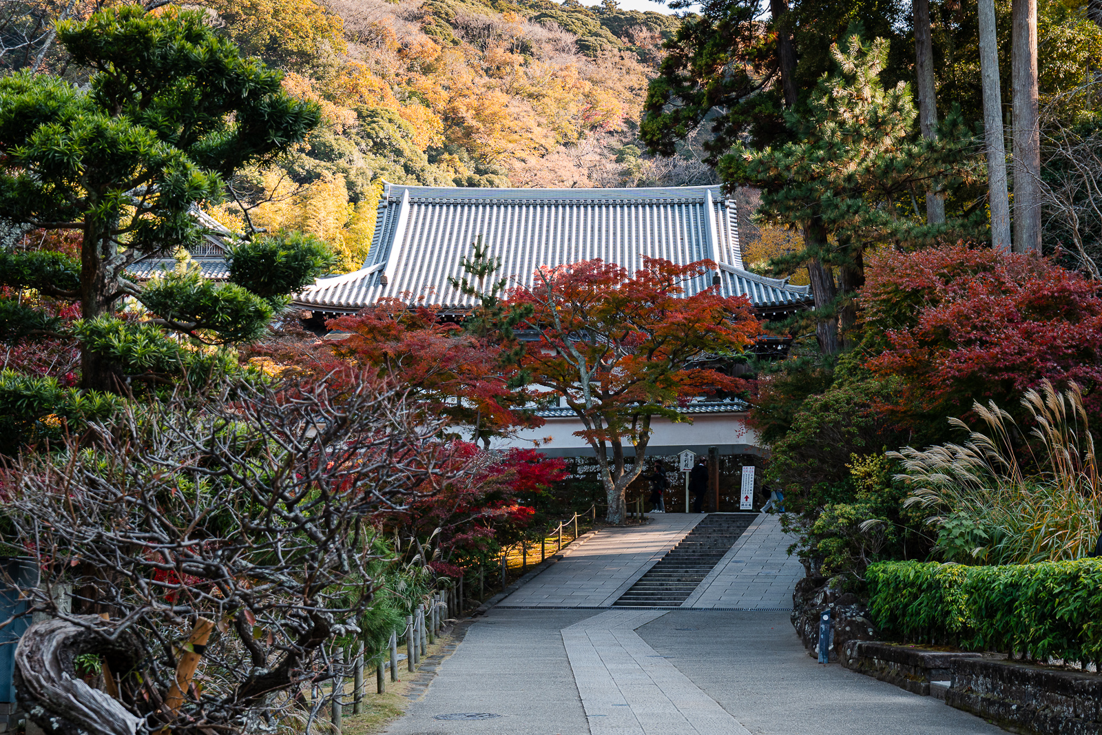 Path leading deeper into Engaku-ji Temple grounds in autumn