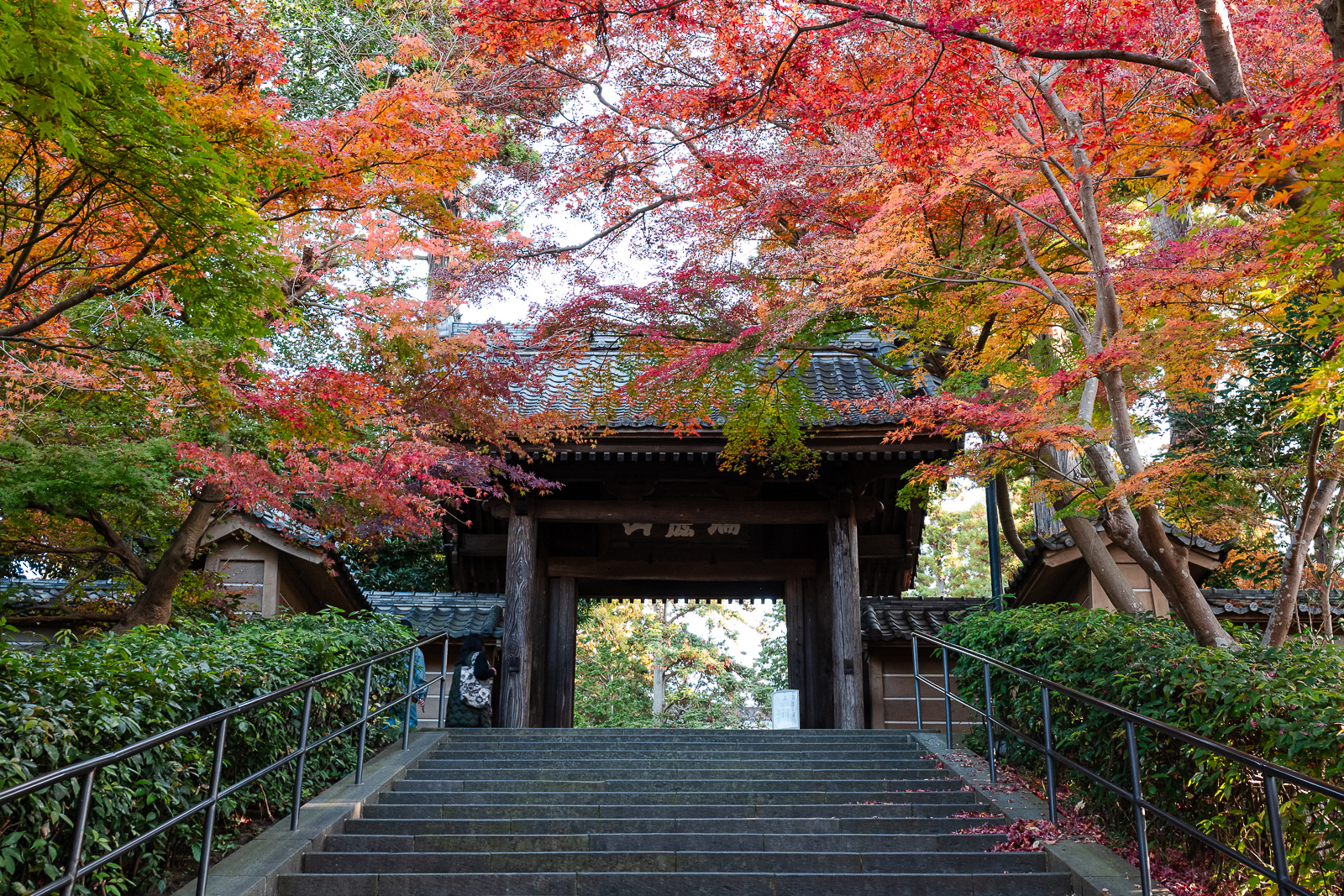 Temple entrance path at Engaku-ji Temple in autumn, Kita-Kamakura