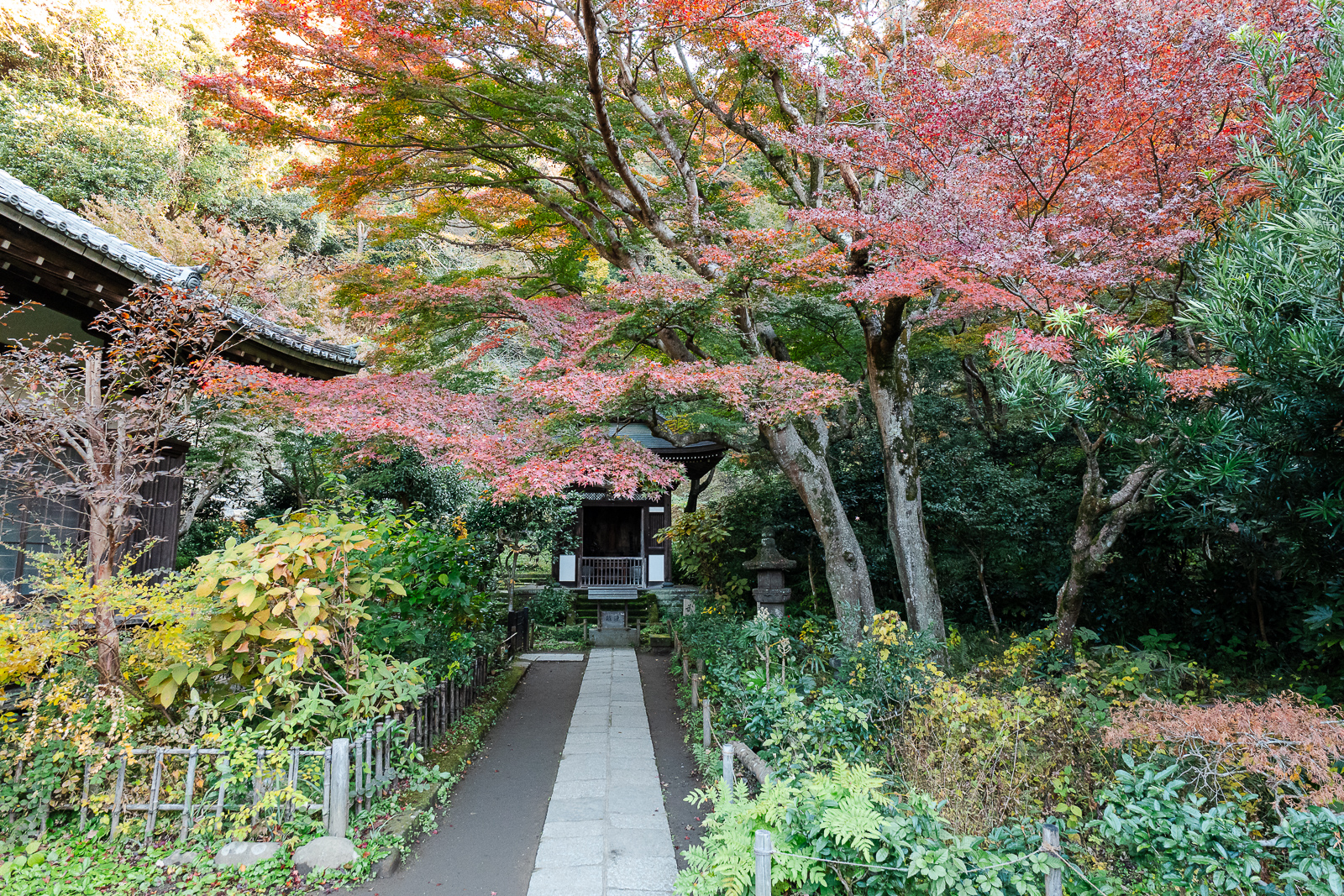 Stone path surrounded by autumn foliage at Engaku-ji Temple