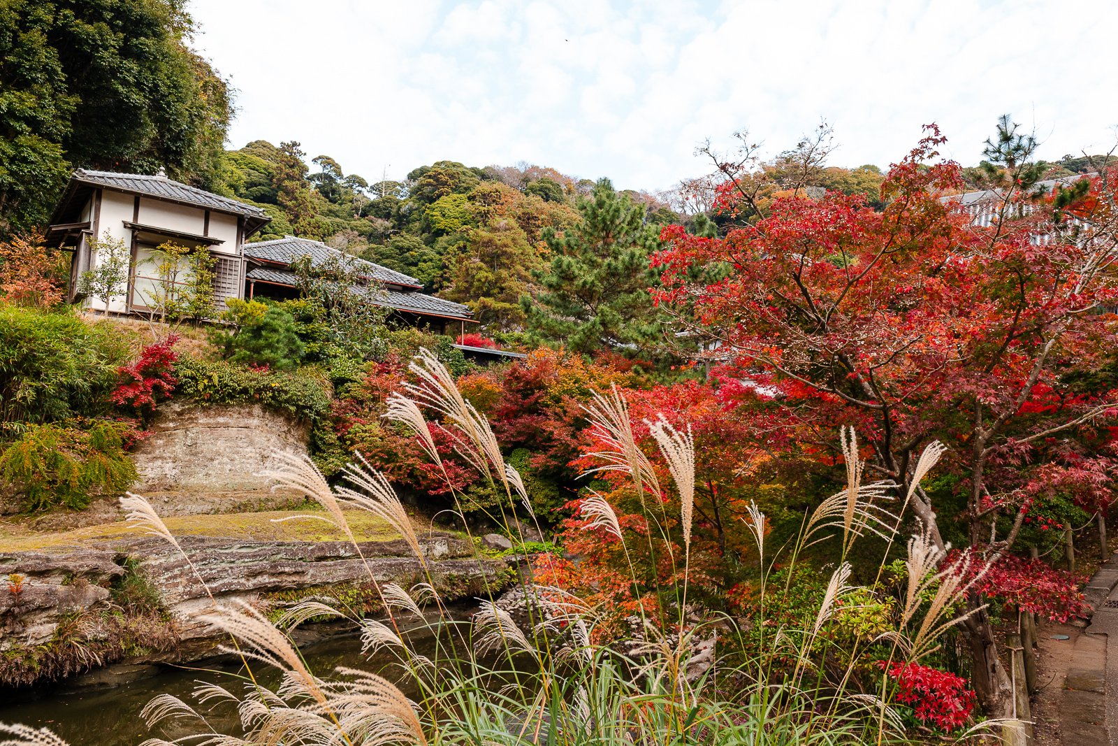 Temple grounds with autumn foliage at Engaku-ji Temple