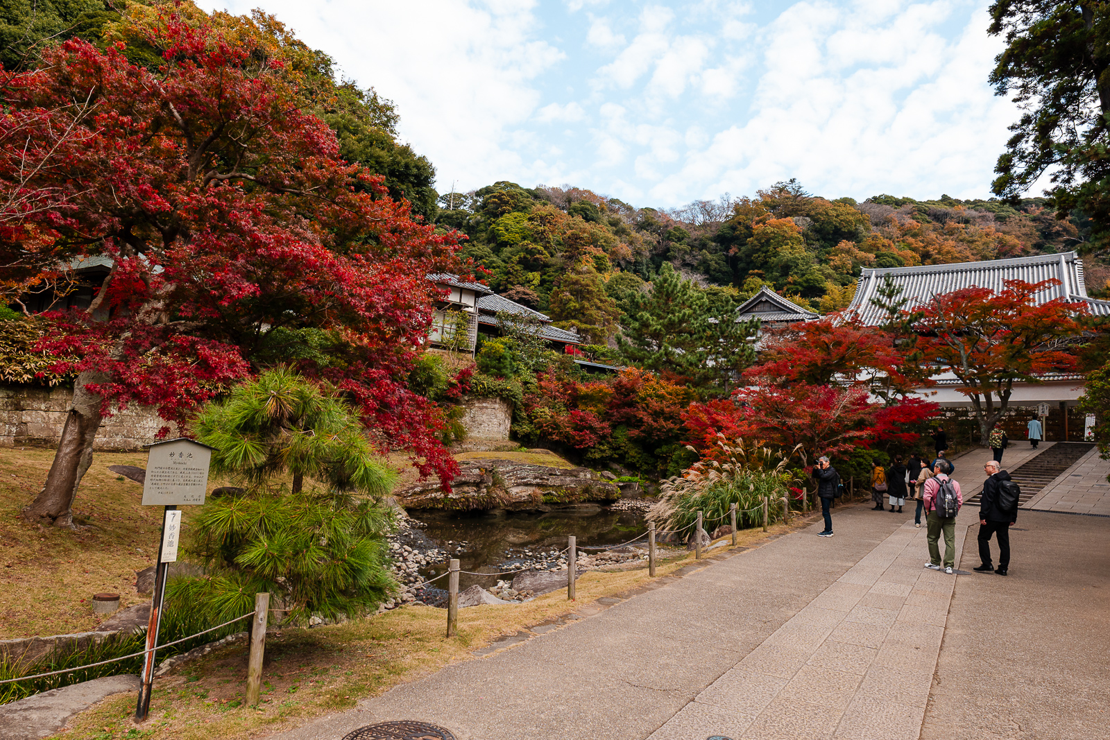 Visitors walking through autumn foliage at Engaku-ji Temple