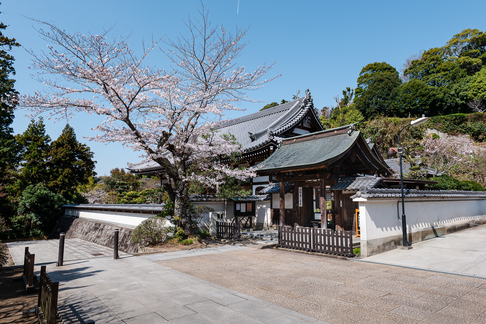 Temple grounds with early spring foliage at Engaku-ji Temple
