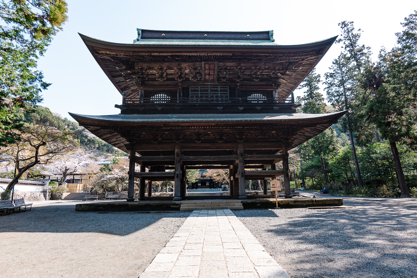 Sanmon gate framed by spring foliage at Engaku-ji Temple