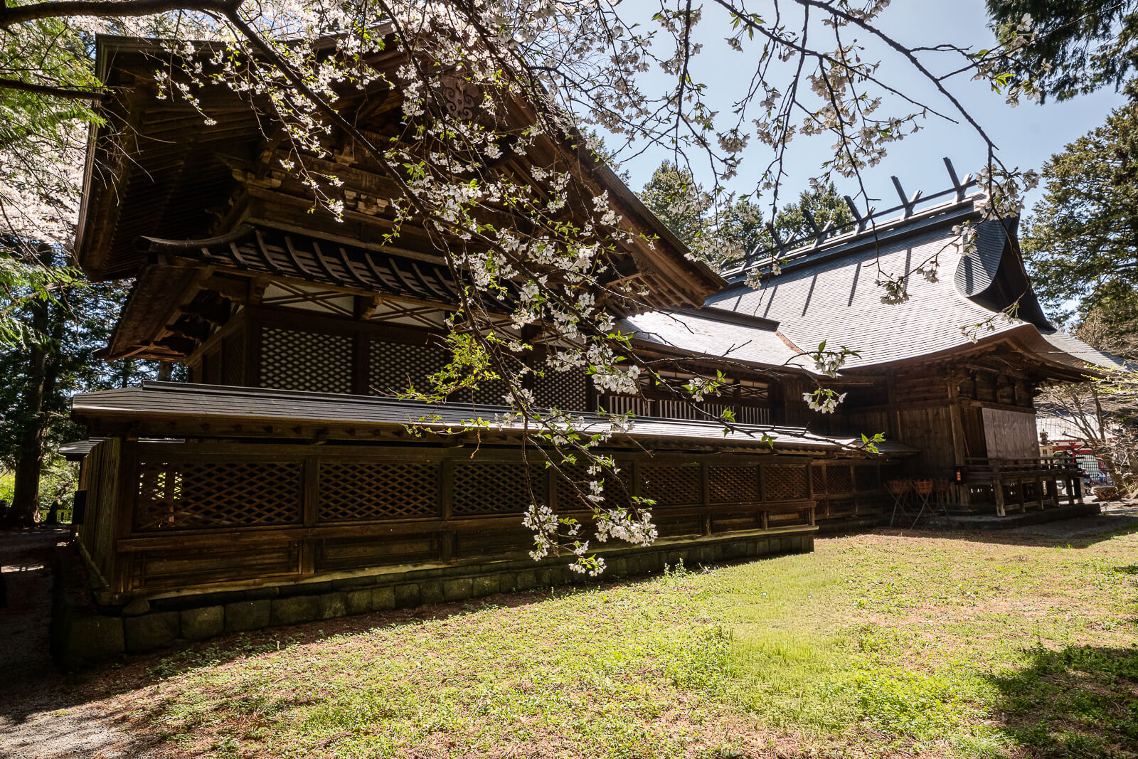 Wooden shrine structure with a cherry branch at Fuji Omuro Sengen Shrine