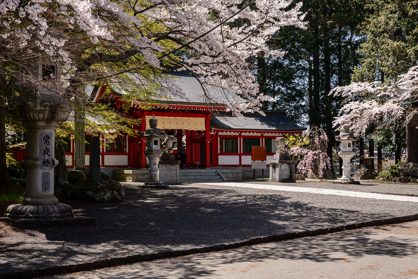 Red shrine building framed by cherry blossoms at Fuji Omuro Sengen Shrine