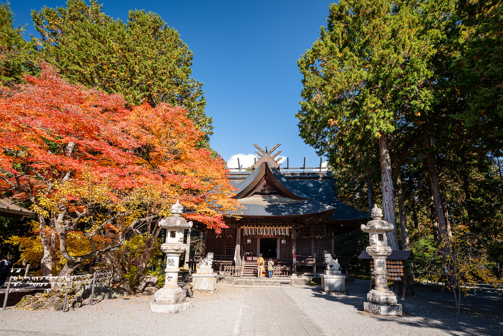 Wooden hall between orange maples and stone lanterns at Fuji Omuro Sengen Shrine