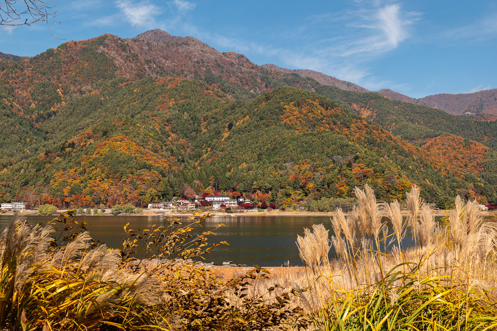 Autumn hills across the lake with pale grasses in the foreground at Yagizaki Park