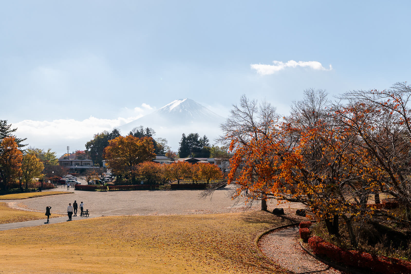 Mount Fuji above an autumn courtyard and maple trees at Yagizaki Park