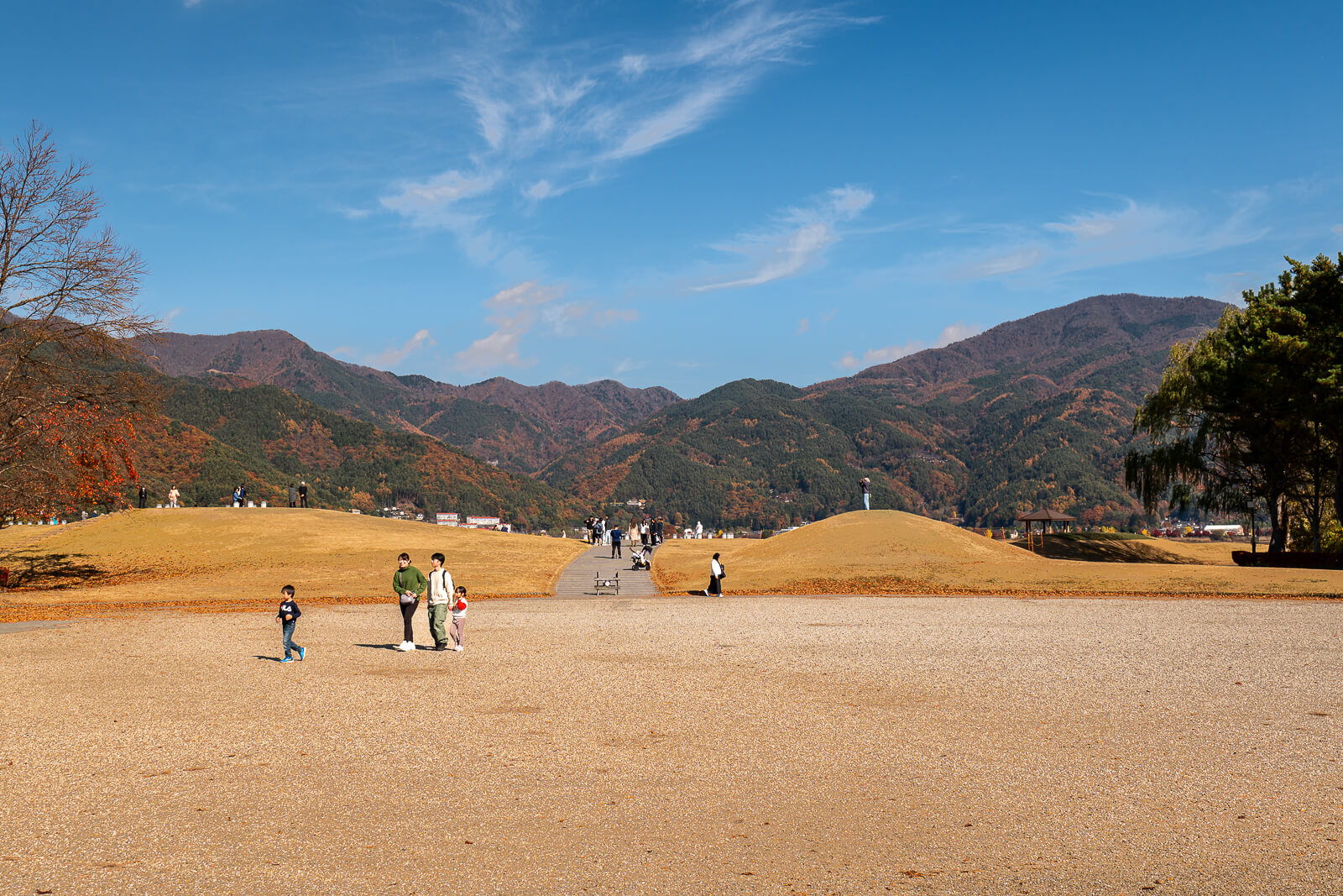 Lawn and low hill mounds with visitors at Yagizaki Park