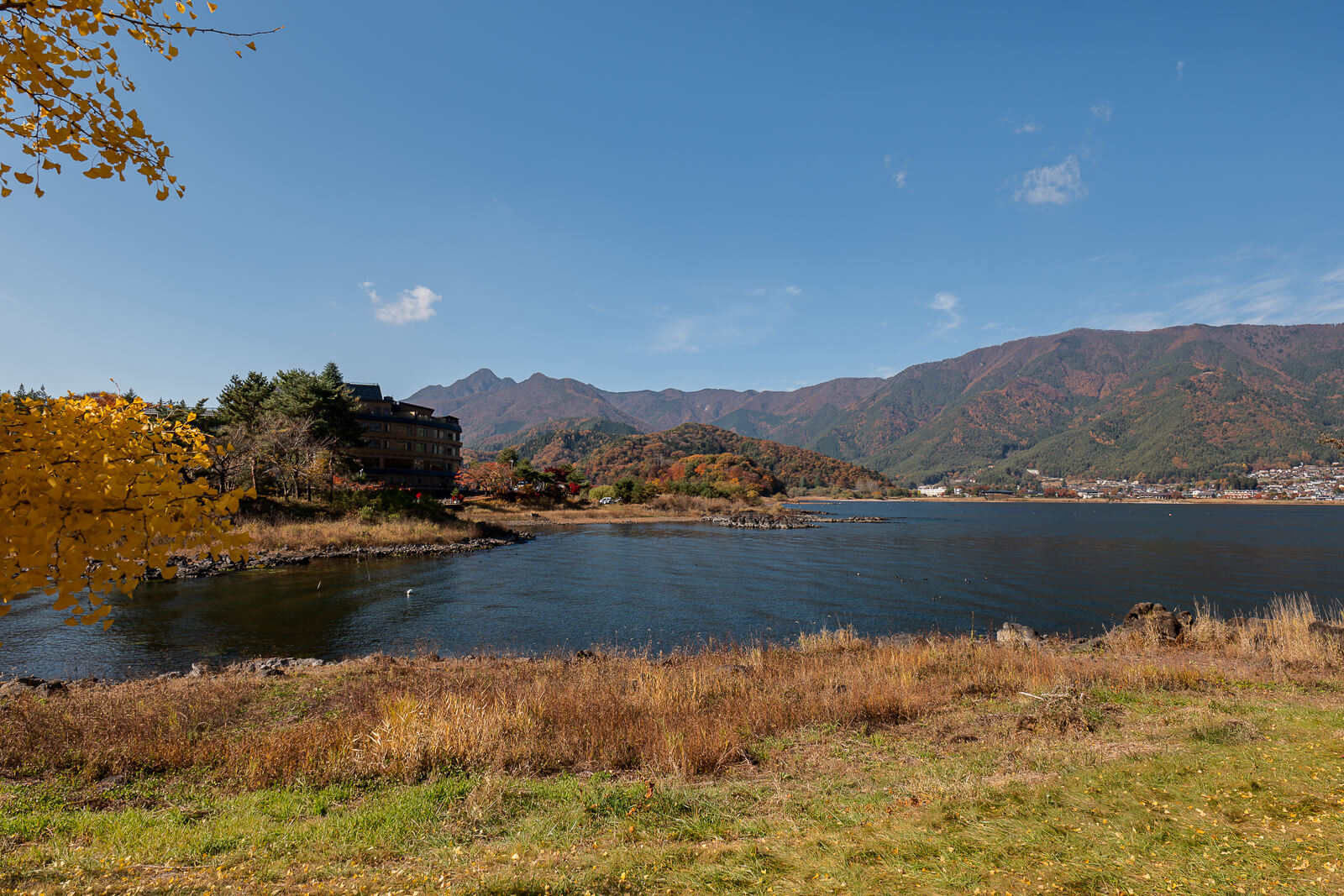 Lake inlet framed by golden leaves and grass at Yagizaki Park