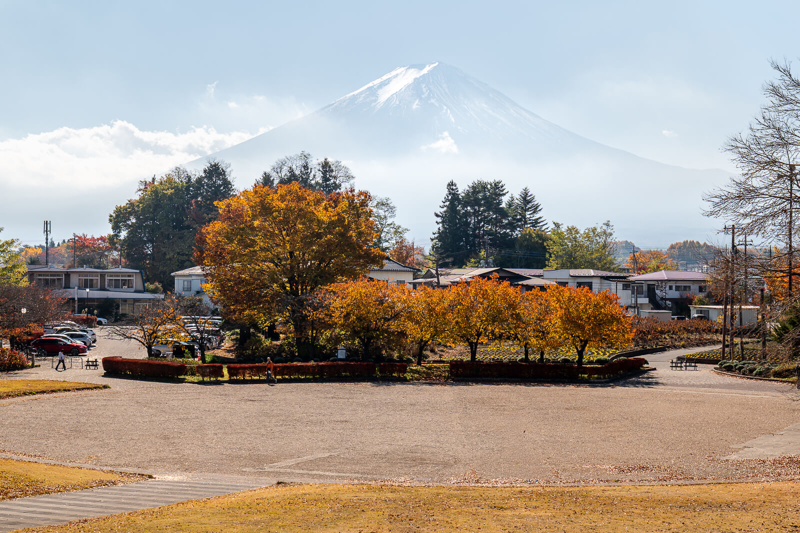 Mount Fuji above the courtyard and golden trees at Yagizaki Park