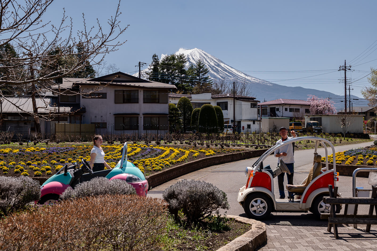 Small open vehicles beside flower beds and Fuji at Yagizaki Park
