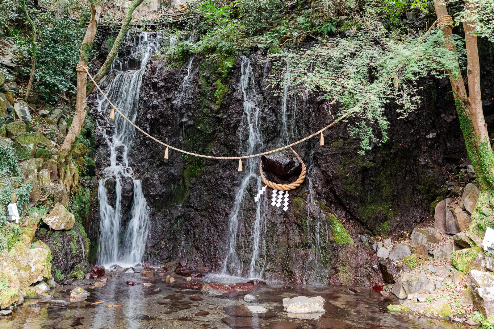 Tamadare Falls flowing across a dark rock face beneath a shimenawa rope in Tenseien Garden.