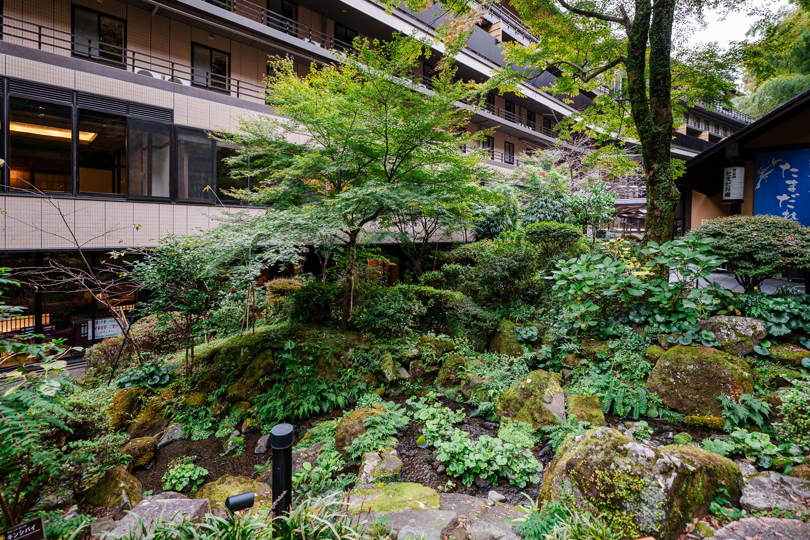 Landscaped hillside garden at Tenseien with moss, rocks, trees, and the hotel building visible above.