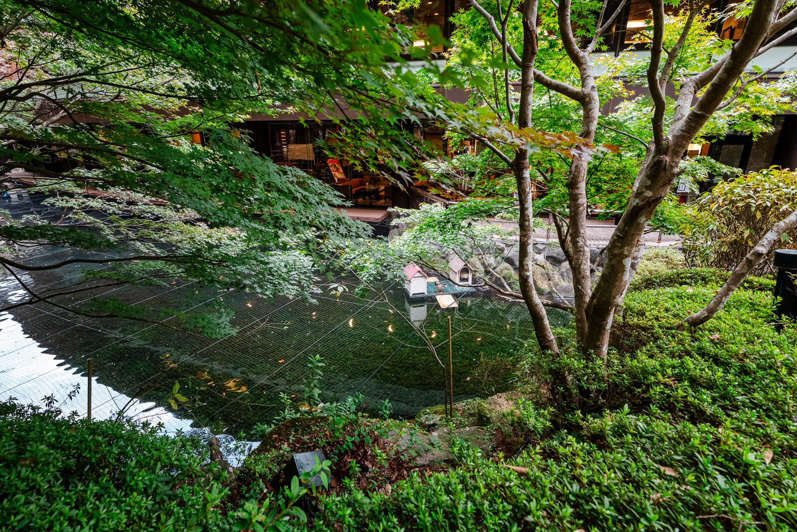 Tree canopy reflected in a quiet garden pond surrounded by moss and dense greenery at Tenseien.