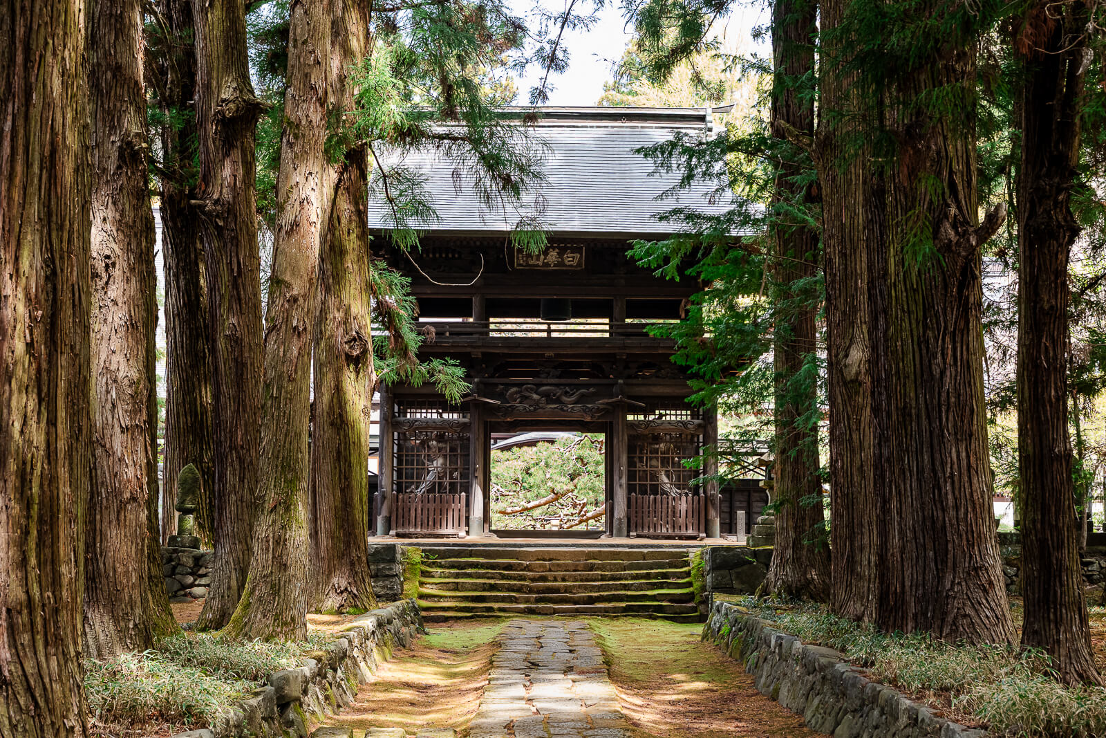 Sanmon gate seen through cedar trees at Jiunji Temple in Shimosuwa