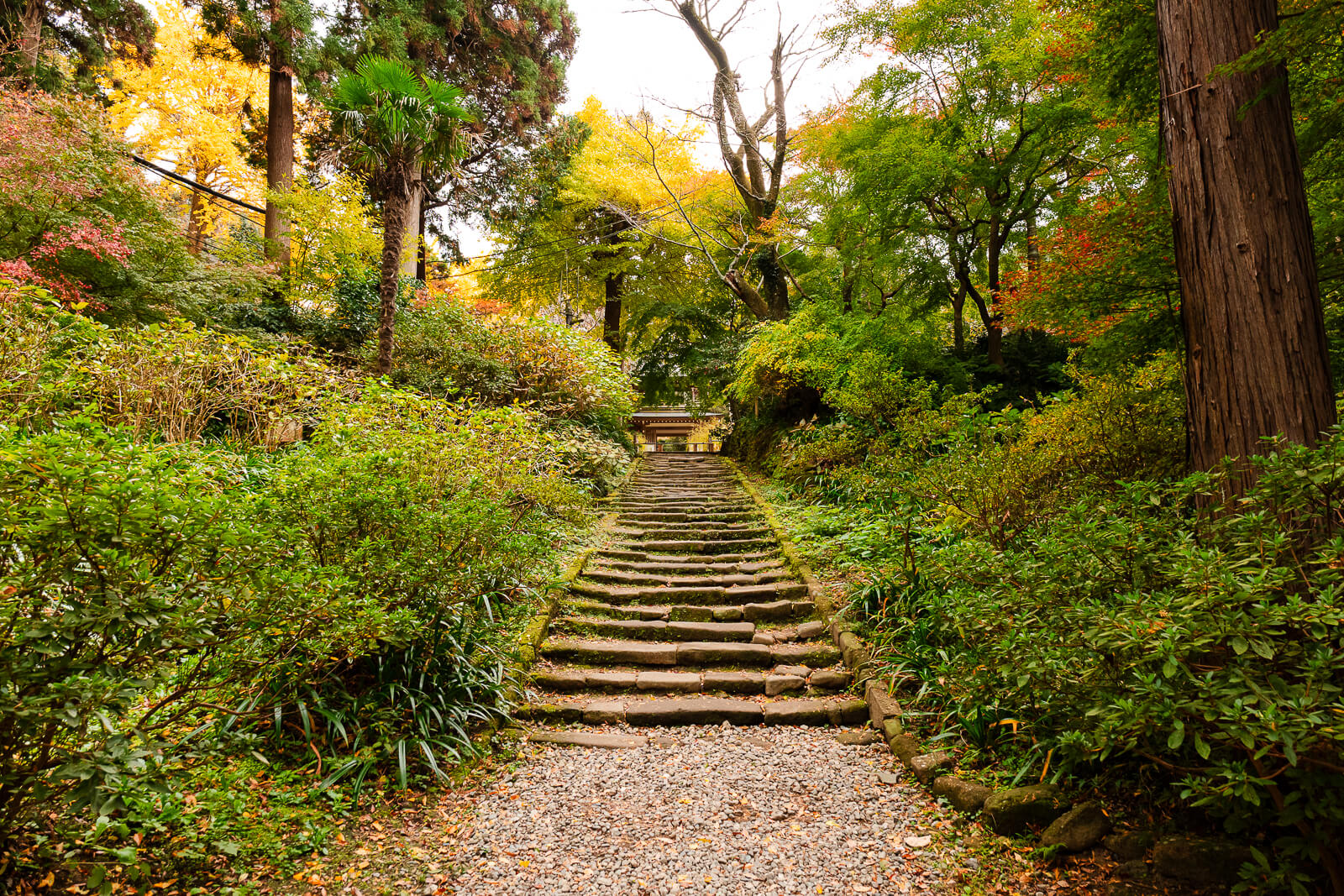 Stone staircase leading into the wooded hillside at Jōchi-ji Temple