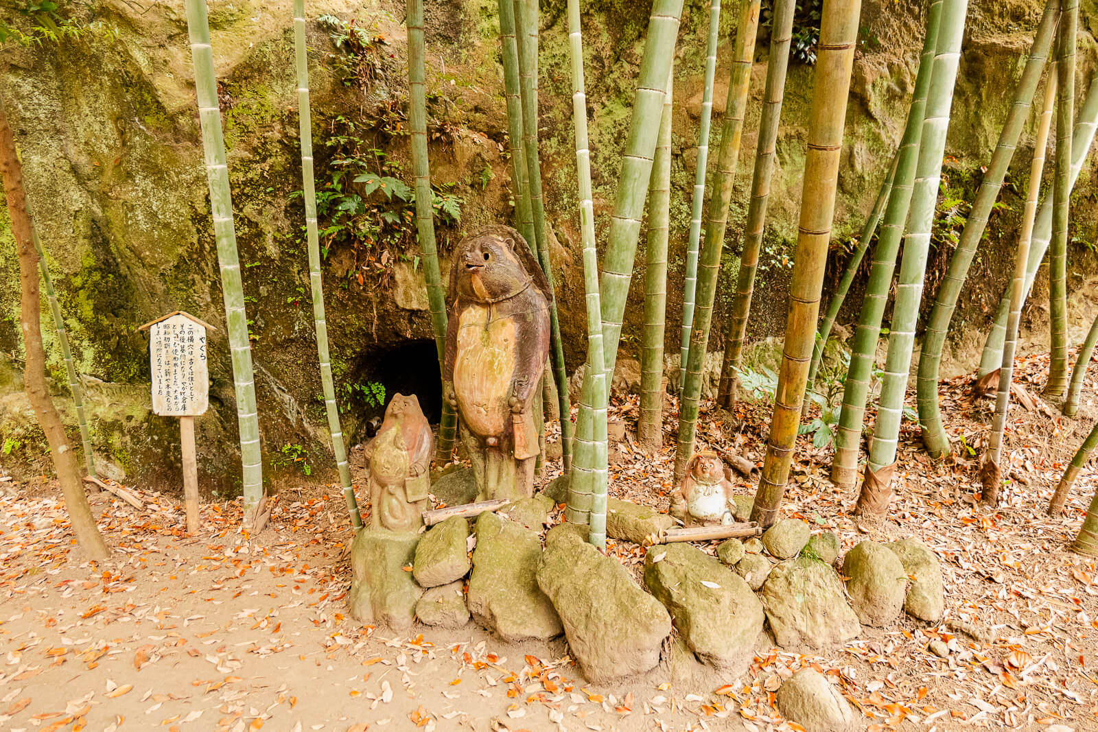 Bamboo grove surrounding the yagura rock-cut tombs at Jōchi-ji Temple