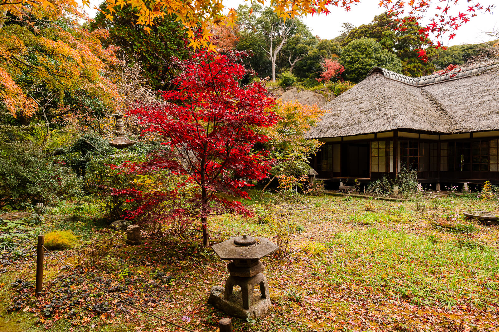 Traditional shoin building viewed from the rear garden at Jōchi-ji Temple