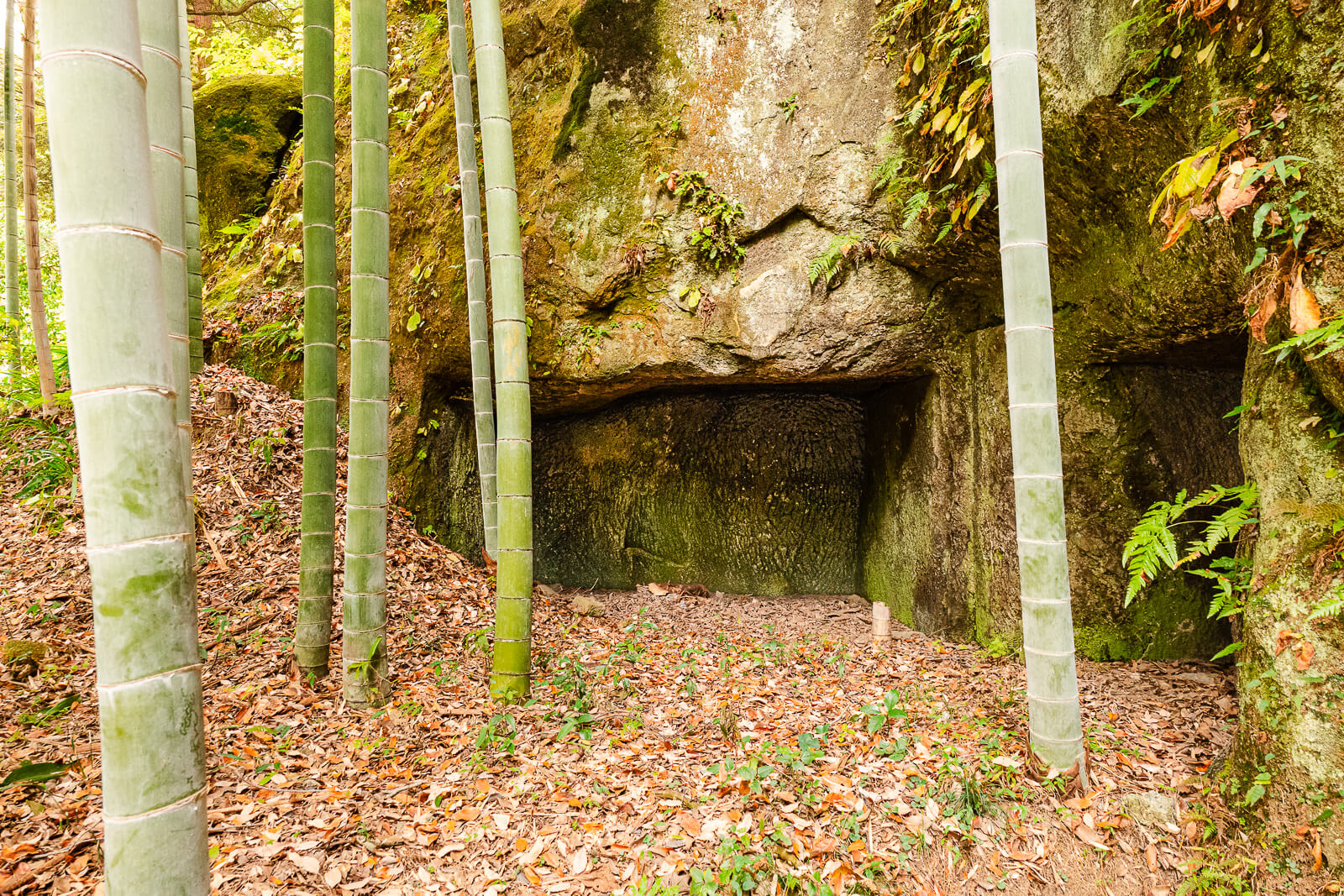 Rock-cut yagura surrounded by bamboo at Jōchi-ji Temple in Kita-Kamakura