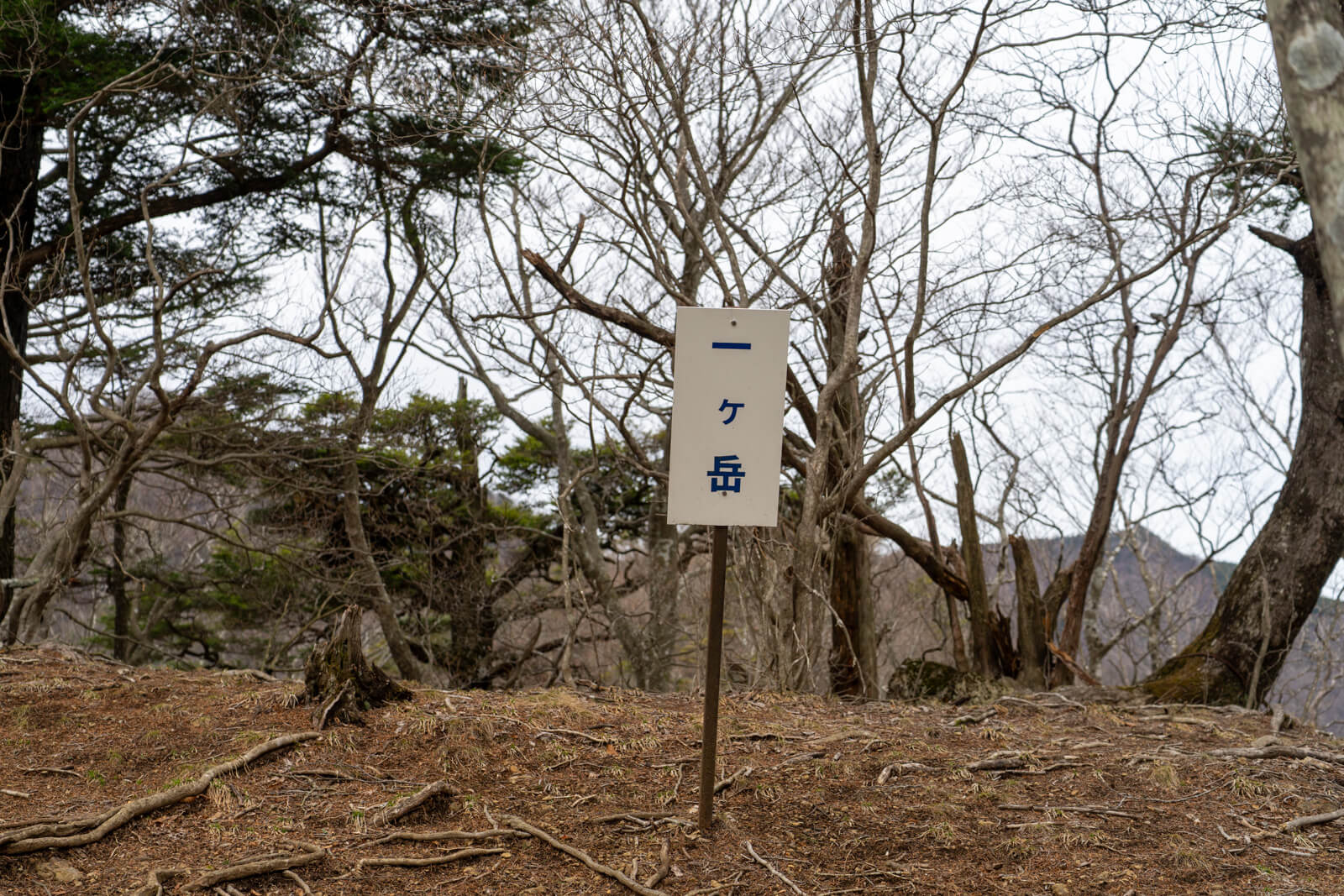 Ichigatake (1st Peak) Sign along the mount junigatake hiking trail