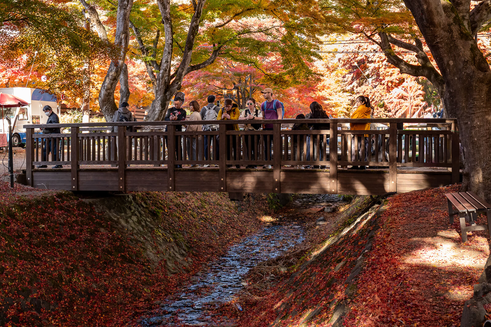 Visitors on a wooden bridge over the stream at Kawaguchiko Maple Corridor area