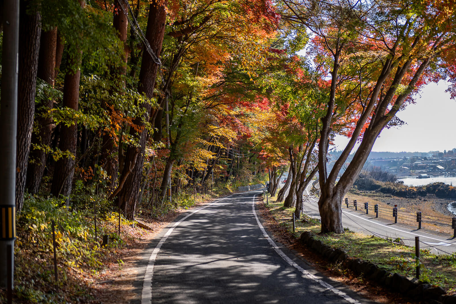 Shoreline road and separate walking path at Kawaguchiko Maple Corridor area