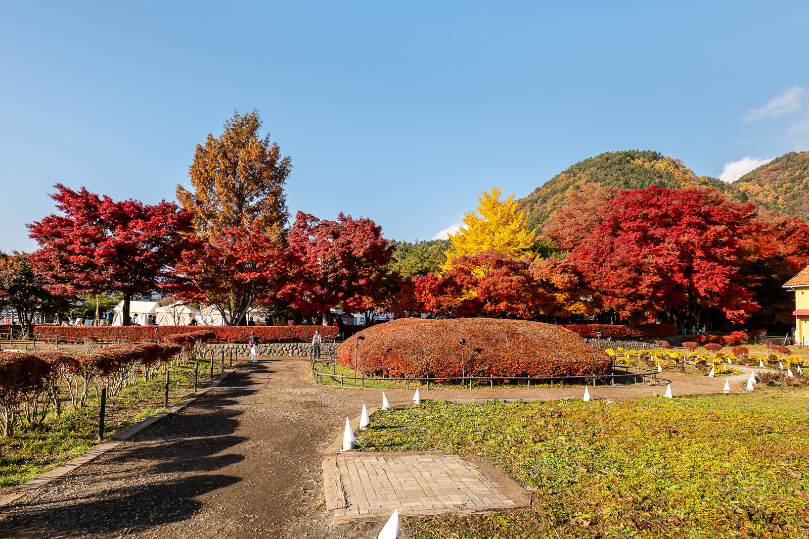Garden paths with autumn trees and hills at Kawaguchiko Maple Corridor area