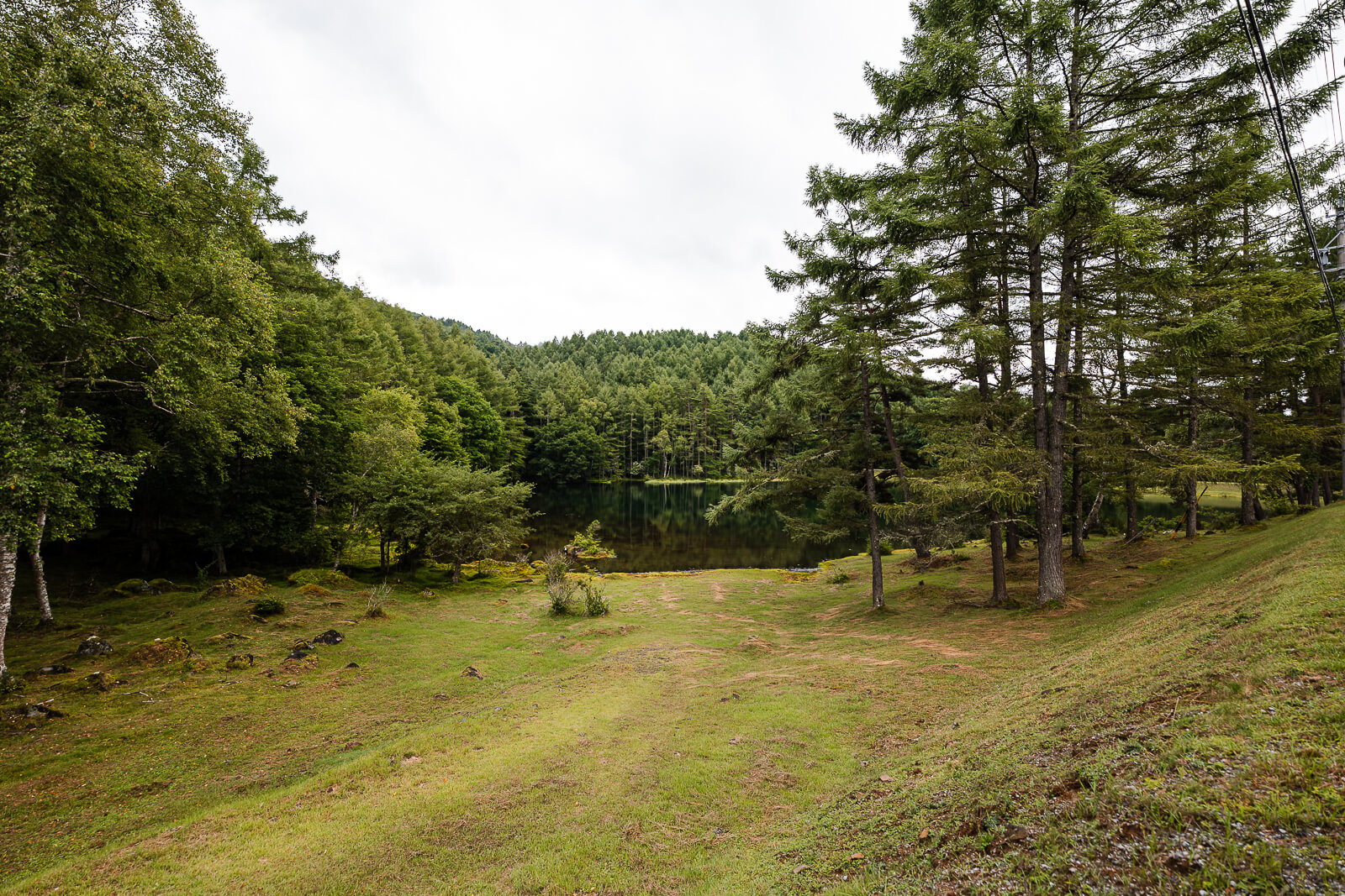 Forest edge and shoreline at Mishaka-ike Pond, Chino Nagano