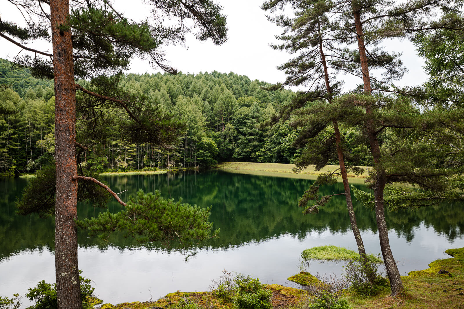 Tree reflections across the water at Mishaka-ike Pond, Chino Nagano