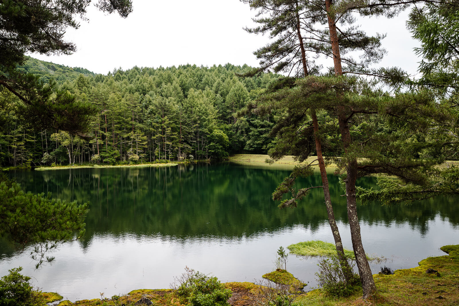 View of the shoreline from the forest edge at Mishaka-ike Pond, Chino Nagano