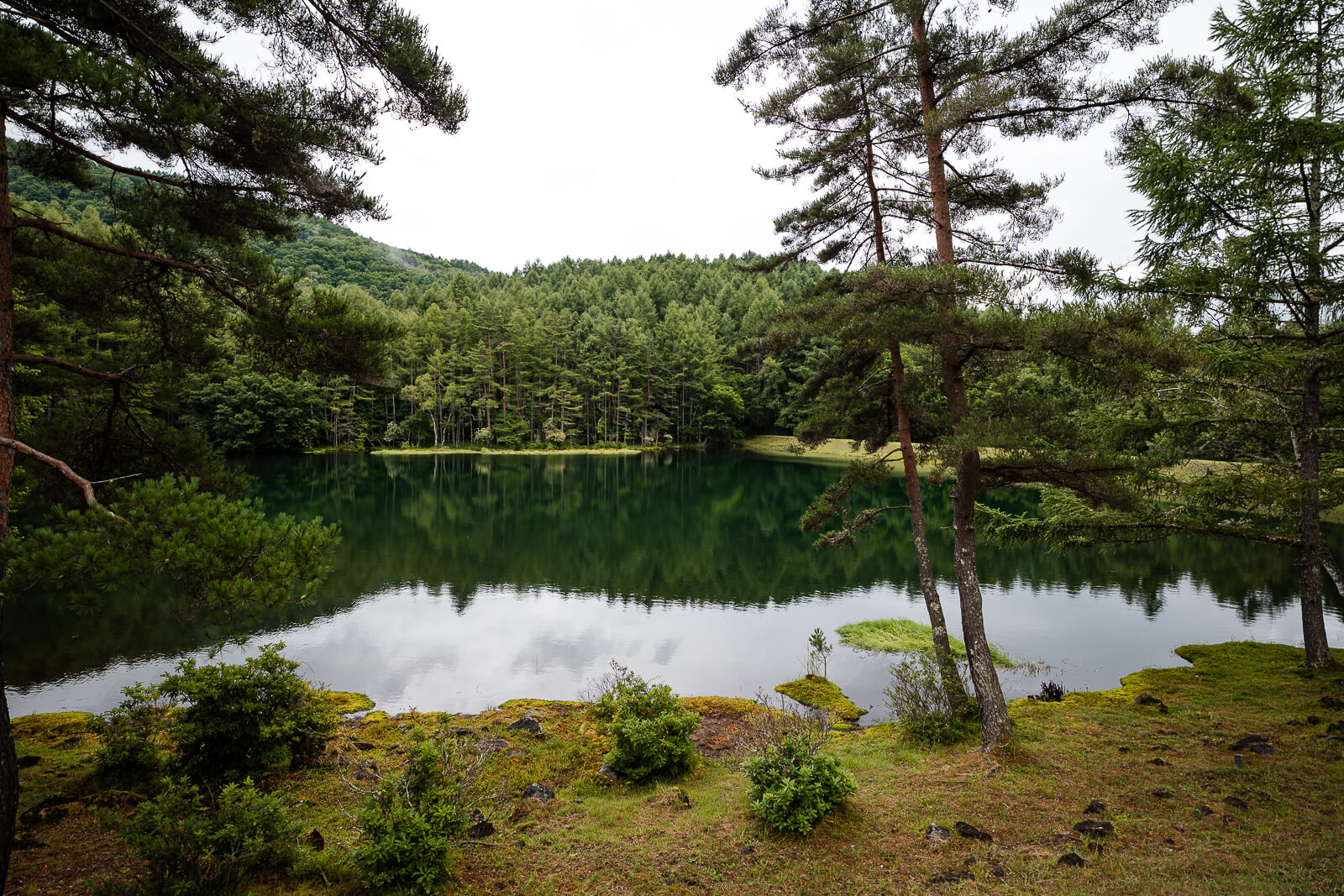 Shoreline view along Mishaka-ike Pond in Chino Nagano