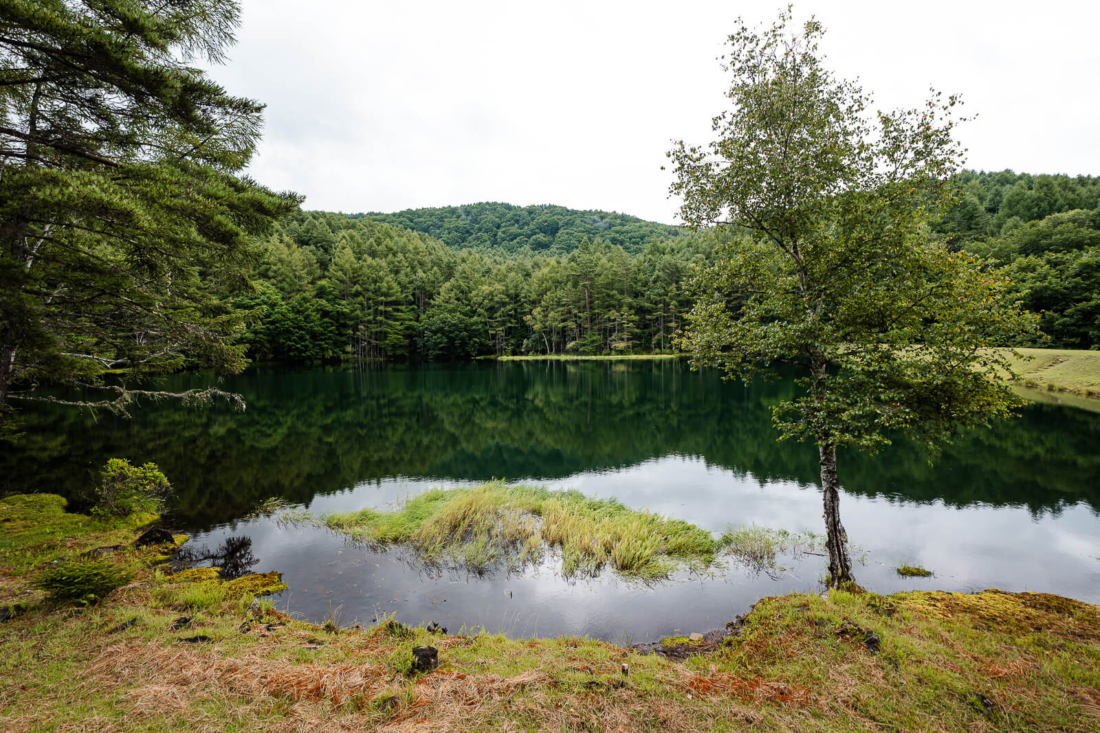 Changing reflections across the water at Mishaka-ike Pond, Chino Nagano