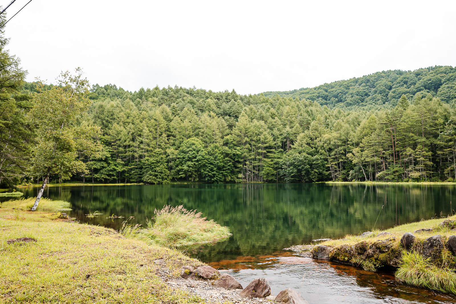 Wide view across Mishaka-ike Pond and surrounding forest in Chino Nagano
