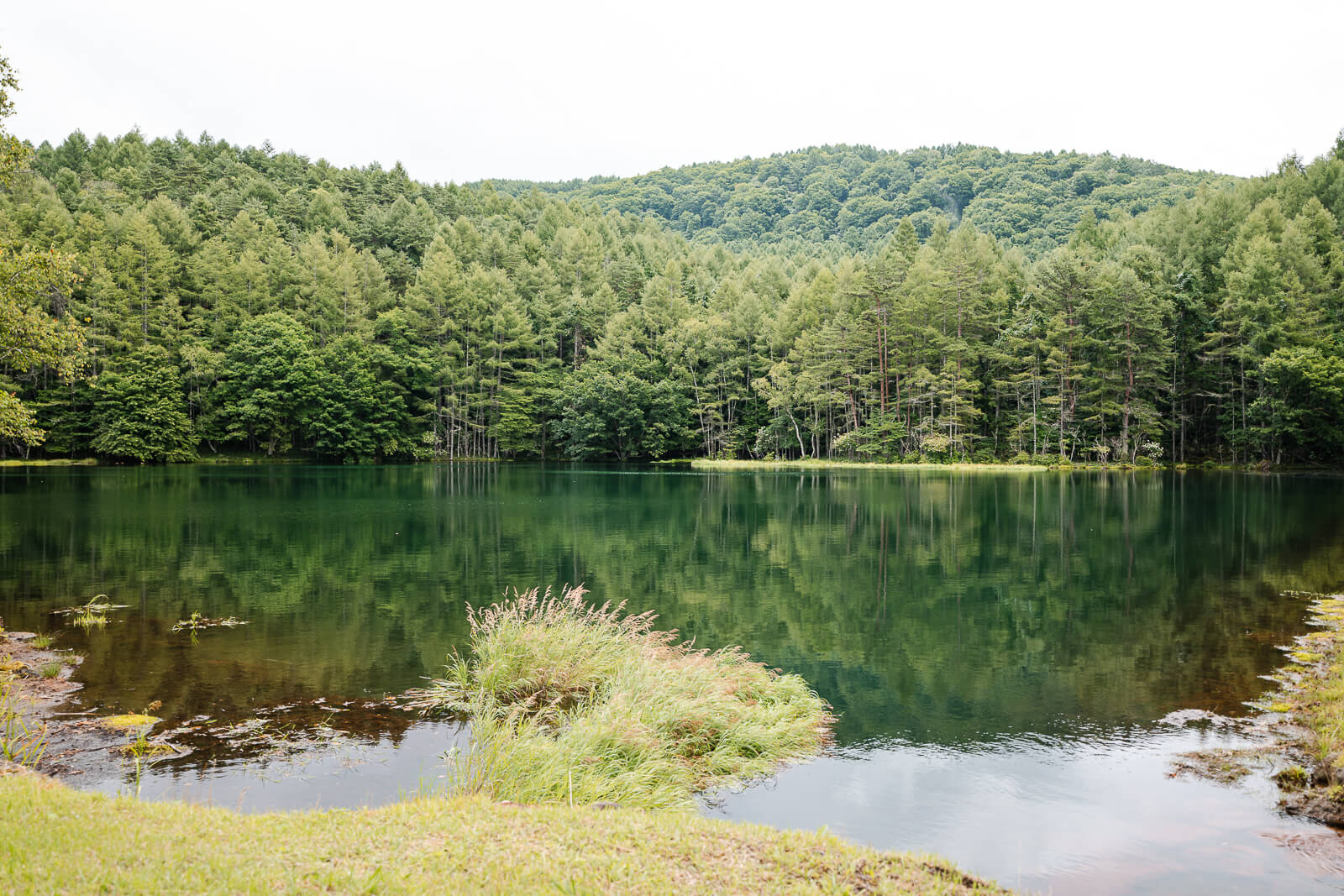 Forest landscape surrounding Mishaka-ike Pond in Chino Nagano