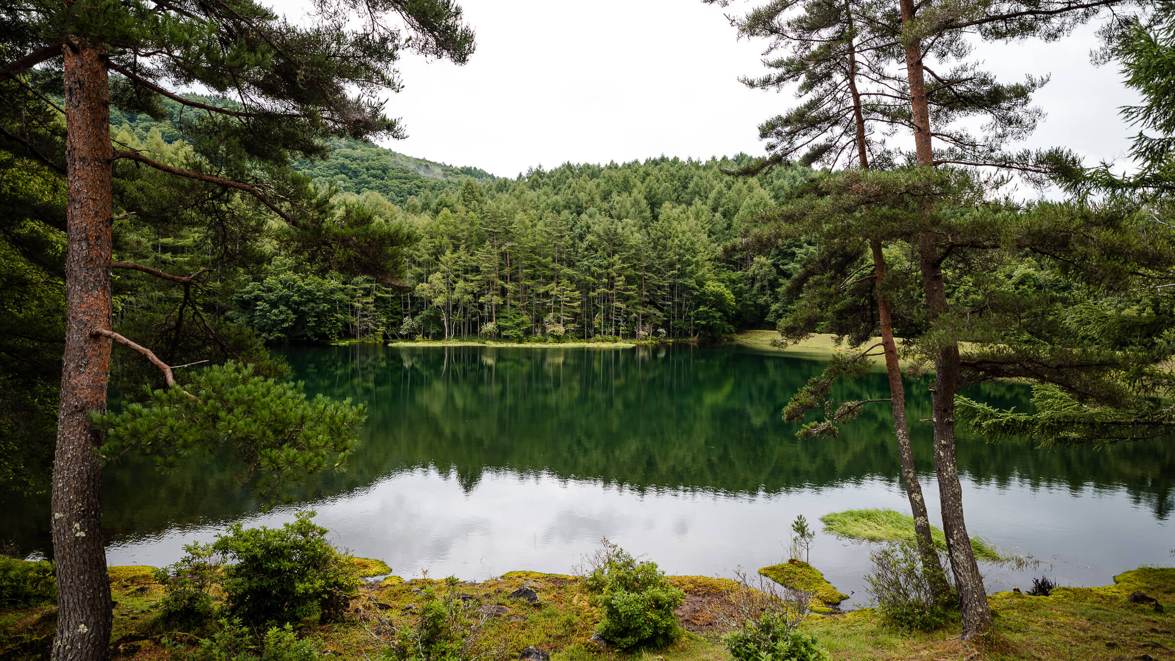 Read more about the article Mishaka-ike Pond — Forest Reflections in the Tateshina Highlands Above Lake Suwa