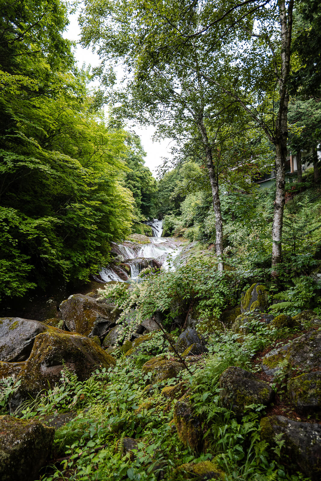 Water flowing across moss-covered rock at Oshidori Kakushi Falls in Chino Nagano