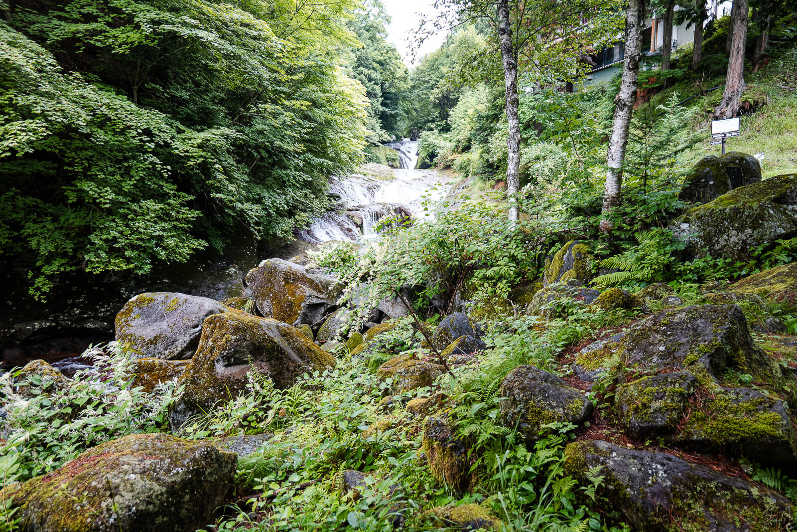 Forest stream and rock cascades at Oshidori Kakushi Falls in the Tateshina Highlands