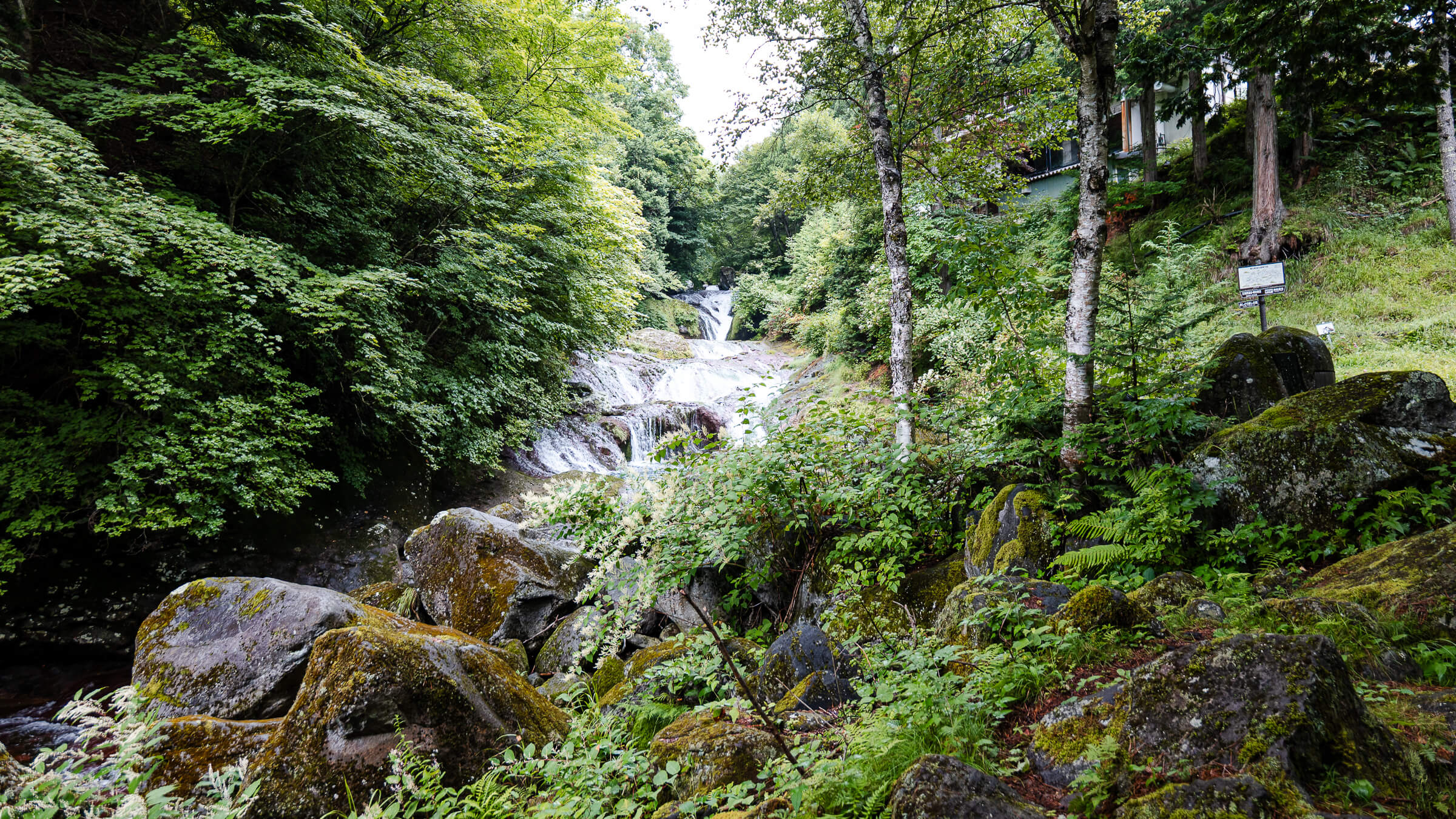 Read more about the article Oshidori Kakushi Falls — A Forest Waterfall Below Mishaka-ike in the Tateshina Highlands