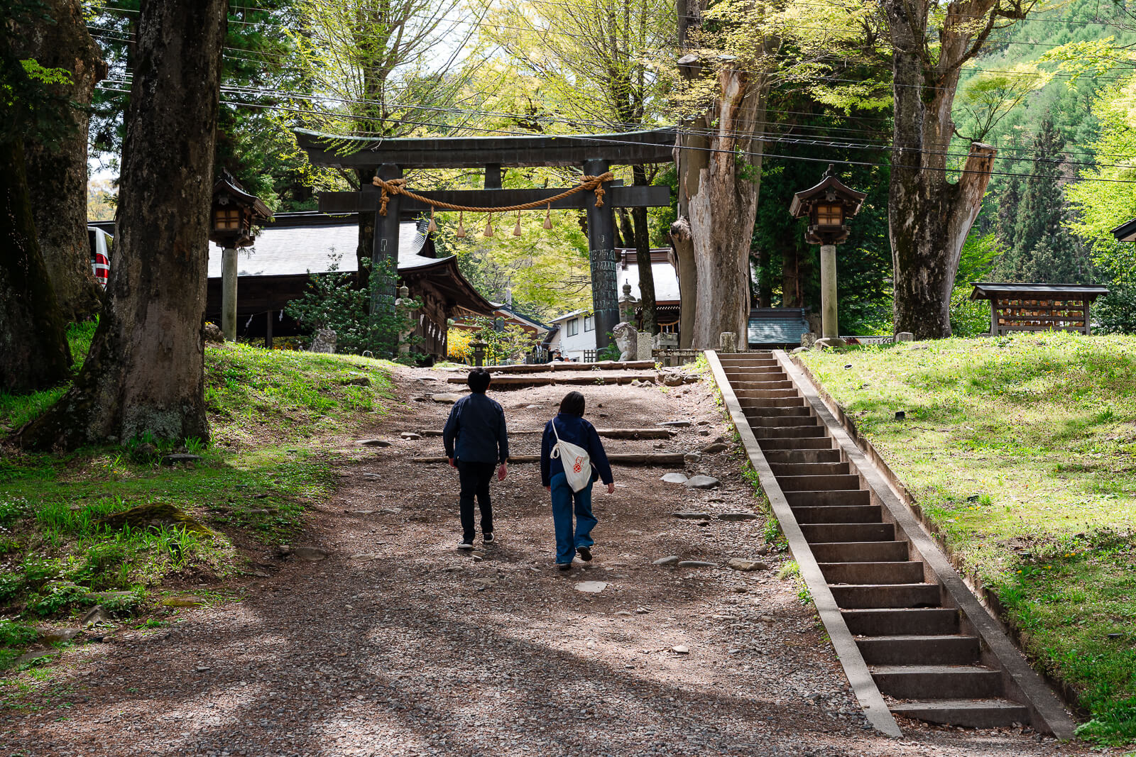 Visitors walking up stone steps beneath tall trees at Suwa Taisha Kamisha Maemiya in Chino, Nagano