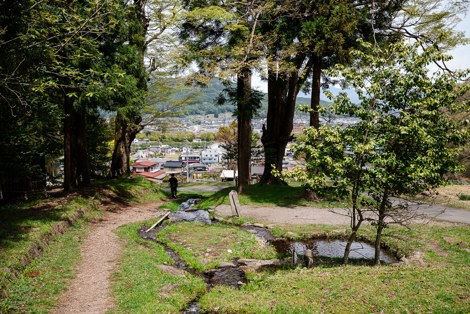 Wooded walking path near Suiga no Seiryū stream at Suwa Taisha Kamisha Maemiya in Chino