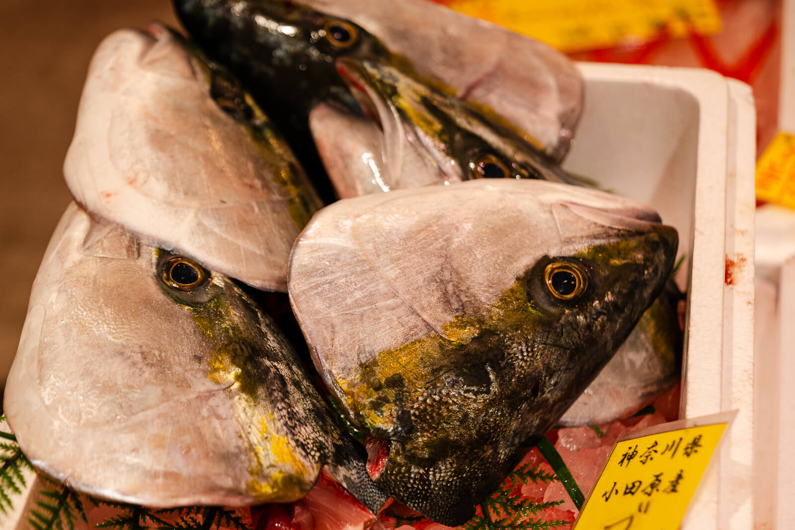 Fresh whole fish on display at TOTOCO Odawara seafood section